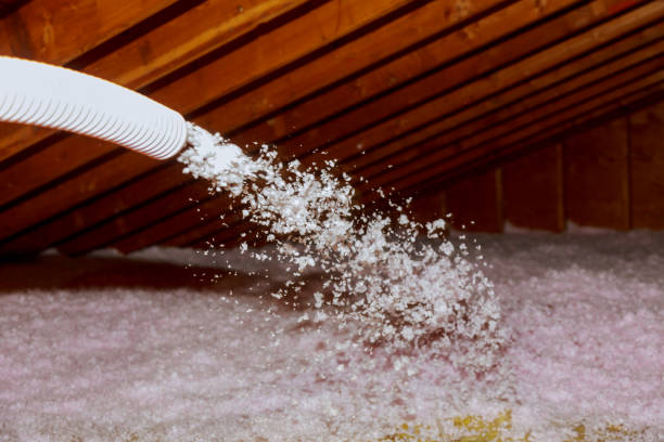 Trusted Kewaskum, WI Insulation Installation & Removal Experts